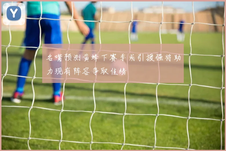 名嘴预测黄蜂下赛季或引援强将助力现有阵容争取佳绩